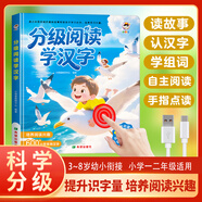 雷朗分級閱讀學(xué)漢字速記幼小銜接識字發(fā)聲書(shū)幼兒認字早教啟蒙神器繪本