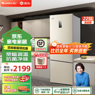 格力（GREE）晶弘 225升冰箱風(fēng)冷無霜迷你小型家用三開門大冷凍節(jié)能低噪離子凈味電冰箱宿舍辦公室客廳高性價(jià)比 BCD-225WETC/時(shí)代金【董總推薦】
