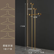 語(yǔ)森憶意式輕奢衣架掛衣架落地臥室家用鐵藝衣服掛架玄關(guān)立式簡(jiǎn)易衣帽架 圓管納米金+白石+5個(gè)實(shí)心衣架