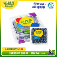 怡顆莓Driscoll's當季新鮮云南藍莓14mm+ 2盒裝 約125g/盒 京東超市水果