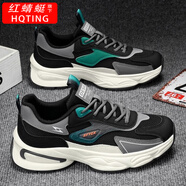 紅蜻蜓紅蜻蜓旗下斷碼撿漏男鞋防臭網(wǎng)面網(wǎng)鞋2025春夏季新款運動(dòng)休閑學(xué)生 F-732黑色 44