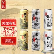 或不凡 國產(chǎn)精釀啤酒 渾濁雙倍IPA啤酒 3款熱銷(xiāo)口味 500mL 6罐 組合裝