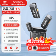 神牛（Godox）無(wú)線(xiàn)麥克風(fēng)領(lǐng)夾WEC小蜜蜂一拖二相機手機戶(hù)外采訪(fǎng)vlog直播錄音降噪聲卡收音麥 WEC一拖二手機/相機無(wú)線(xiàn)麥克風(fēng) 標配