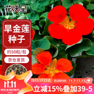 花沃里旱金蓮花種子50粒/包 花卉種子盆栽陽臺種菜土四季草籽庭院田間種