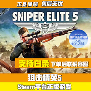 S正版游戲Steam游戲國區激活碼 狙擊精英5 Sniper Elite 5 （標準版）國區激活碼cdk