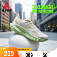 匹克態(tài)極24小時(shí)2.0跑步鞋男鞋秋季網(wǎng)面透氣輕便休閑鞋運動(dòng)鞋DH520027