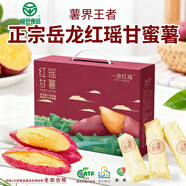 岳龍紅 [綠色食品]正宗紅瑤甘薯紅薯蜜薯地瓜賽煙薯 高甜軟糯送禮老孕童 岳龍紅一畝紅瑤高端禮盒（5斤） 精品果（4兩左右/個(gè)）
