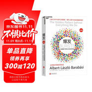 爆發(fā) 大數(shù)據(jù)時(shí)代預(yù)見(jiàn)未來(lái)的新思維 一整套理解人類行為時(shí)空模式的觀念和理論 湛廬圖書(shū)