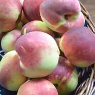 什谷豐冬桃脆甜桃鮮桃子當季新鮮脆桃軟桃生鮮水果 3斤 （單果約80-120g）