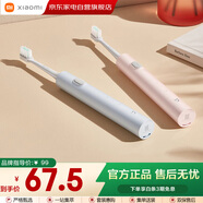 小米（MI）米家電動(dòng)牙刷成人情侶男女生日禮物軟毛超聲波實(shí)用便攜結婚熱門(mén)商品禮品推薦 T200藍色
