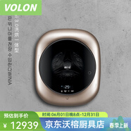OIMG【輕奢高端】壁掛式內衣褲洗衣機洗脫烘干韓國原裝品質(zhì)winia壁掛洗衣機寶寶嬰兒兒童全自動(dòng)滾 韓國進(jìn)口30CGSIK洗烘一體香檳金