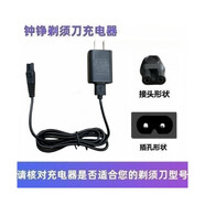 鐘錚原裝適用電動(dòng)剃須刀充電器RQ1280 ZN3015 S5001 F9001 3016電源線(xiàn)配件 5VUSB線(xiàn)+充電頭