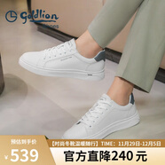 金利來(lái)（Goldlion）男鞋時(shí)尚個(gè)性耐磨板鞋舒適系帶休閑鞋55323073920A白-37碼