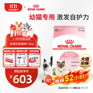 皇家幼貓奶糕 幼貓貓糧 BK34 通用糧 1-4月 10KG