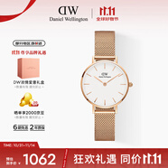 丹尼爾惠靈頓（DanielWellington）DW手表女 簡約歐美表鋼帶石英女士手表生日禮物送女友DW00100219