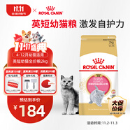 皇家貓糧 英短幼貓糧 BSK38 通用糧 4-12月 2KG