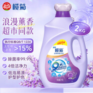 欖菊康滌全效洗護洗衣液2kg瓶裝薰衣草香除菌除螨去污去漬4倍潔凈力