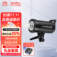 神牛（Godox） 攝影燈sk400二代閃光燈影室閃光燈服裝人像拍照攝影棚套裝影樓服裝攝影燈 SK400II 官方標配