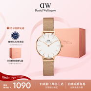 丹尼爾惠靈頓（DanielWellington）DW女士手表時(shí)尚經(jīng)典歐美表女28mm石英表生日禮物 DW219
