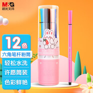 晨光（M&G）文具12色可洗水彩筆六角桿幼兒園兒童安全畫(huà)筆彩色筆粉筒 生日禮物 ACP901P0C1