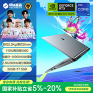 機械革命【國家補貼】極光X 潮玩版 酷睿i9HX 游戲本筆記本電腦(i9-14900HX 32G 1T RTX5060 300Hz 灰)