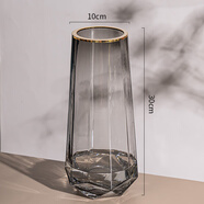 感ins風(fēng)玻璃花瓶透明水養插花瓶鮮花玫瑰百合花客廳擺件歐式 B煙灰描金大號【精致款】 中等