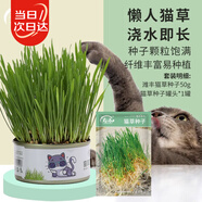 壽禾 貓草種子苗小麥種子盆栽懶人種植罐頭貓零食 貓草種子罐套裝A款