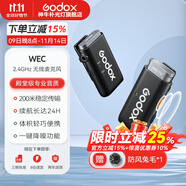 神牛（Godox）無(wú)線(xiàn)麥克風(fēng)領(lǐng)夾WEC小蜜蜂一拖二相機手機戶(hù)外采訪(fǎng)vlog直播錄音降噪聲卡收音麥 WEC一拖一手機/相機無(wú)線(xiàn)麥克風(fēng) 標配