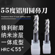 TMJD MISSGC戀品惠定制55度鋁用圓鼻刀三刃加長(cháng)牛鼻6r1/8r0.5/10r0.2/200L  10R140D10100L