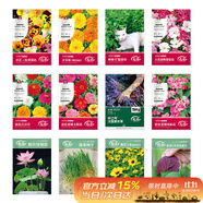 壽禾 花種子大全四季易活小麥草太陽花碗蓮向日葵 12種花種子花草套餐