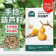 北蔬 手捻小葫蘆種子苗文玩特小陽(yáng)臺庭院爬藤盆栽籽 手捻葫蘆種子10粒