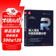 深入淺出R語(yǔ)言數(shù)據(jù)分析/新時(shí)代·技術(shù)新未來(lái)