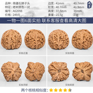 文玩核桃精品南疆石核桃一物一圖獅子頭趙喜滿(mǎn)逐鹿一代高炮凹底 A62098老樹(shù)原色南疆石獅子頭41mm