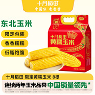 十月稻田 黃糯玉米 3.52斤(220g*8根) 東北粘苞米 早餐雜糧 蛇年限定