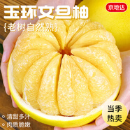 京地達浙江玉環(huán)文旦柚子凈重5斤單果2.5斤當季新鮮水果源頭直發(fā)包郵