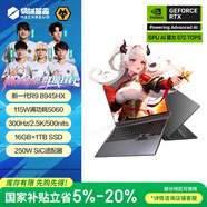 機械革命【國家補貼】蛟龍16Pro 2025 16英寸游戲電競筆記本電腦(R9-8945HX 16G 1T RTX5060 300HZ  灰)