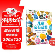 DK兒童寶石圣典 小猛犸童書(精裝)