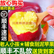 順豐甘肅天水蛇紅果寶寶老人面粉脆沙甜蘋(píng)果新鮮水果 精美禮盒特大果 (16顆禮盒送禮) 10斤