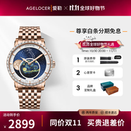 愛勒  AGELOCER原創(chuàng)天文學(xué)家機(jī)械表商務(wù)男士鋼帶月相手表送男友生日禮物禮盒裝 6401F9-梵高金月-鉆圈鋼帶