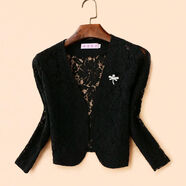 蕾絲小披肩外搭女短款2024西裝外套百搭坎肩旗袍裙子外搭開(kāi)衫 黑色短袖 M M