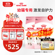 皇家貓糧 幼貓貓糧 幼貓奶糕 K36 通用糧 4-12月 4.5KG*2