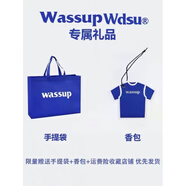 Wa&NaWASSUP學(xué)院風(fēng)格子撞色插肩刺繡短袖t恤女大童初中高中學(xué)生上衣服 【今年流行_女裝_學(xué)院風(fēng)_小清新_減齡_很仙_甜美 M