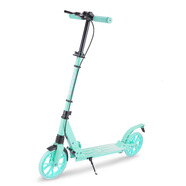 時(shí)尚頑童200#輪折疊鋁合金手剎腳剎兩用升降滑板車代步車可2024 綠色