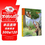 動(dòng)物小說(shuō)大王沈石溪 致敬生命書系：狼妻