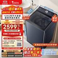 小天鵝（LittleSwan）波輪洗衣機全自動【TB12U2】水魔方防纏繞 超微凈泡 12公斤大容量 純平 家電國家補貼20% 以舊換新
