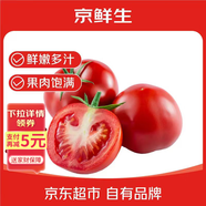 京鮮生 山東普羅旺斯沙瓤西紅柿 凈重3斤 單果90g起 沙瓢番茄 源頭直發(fā)