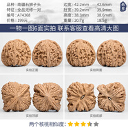 胖東來(lái)同款白獅子文玩核桃蘋(píng) A74368 全品無(wú)修南疆石獅子頭42mm