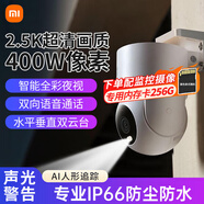 小米攝像頭CW300 2.5K400萬(wàn)像素雙云臺 小米室外攝像機戶(hù)外家用 手機遠程監控器360度無(wú)死角帶夜視全景 小米室外攝像頭CW300+256G內存卡