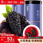 福東海 桑葚子500克（250g*2瓶）【大果皇】精選無沙桑椹即食泡水泡酒 