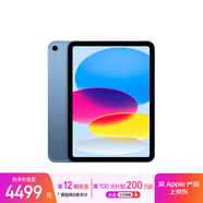 Apple/蘋(píng)果iPad 11英寸 A16芯片2025年款 平板電腦 (256GB eSIM版/學(xué)習辦公娛樂(lè ))藍色